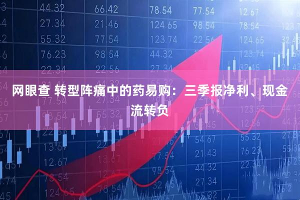 网眼查 转型阵痛中的药易购：三季报净利、现金流转负